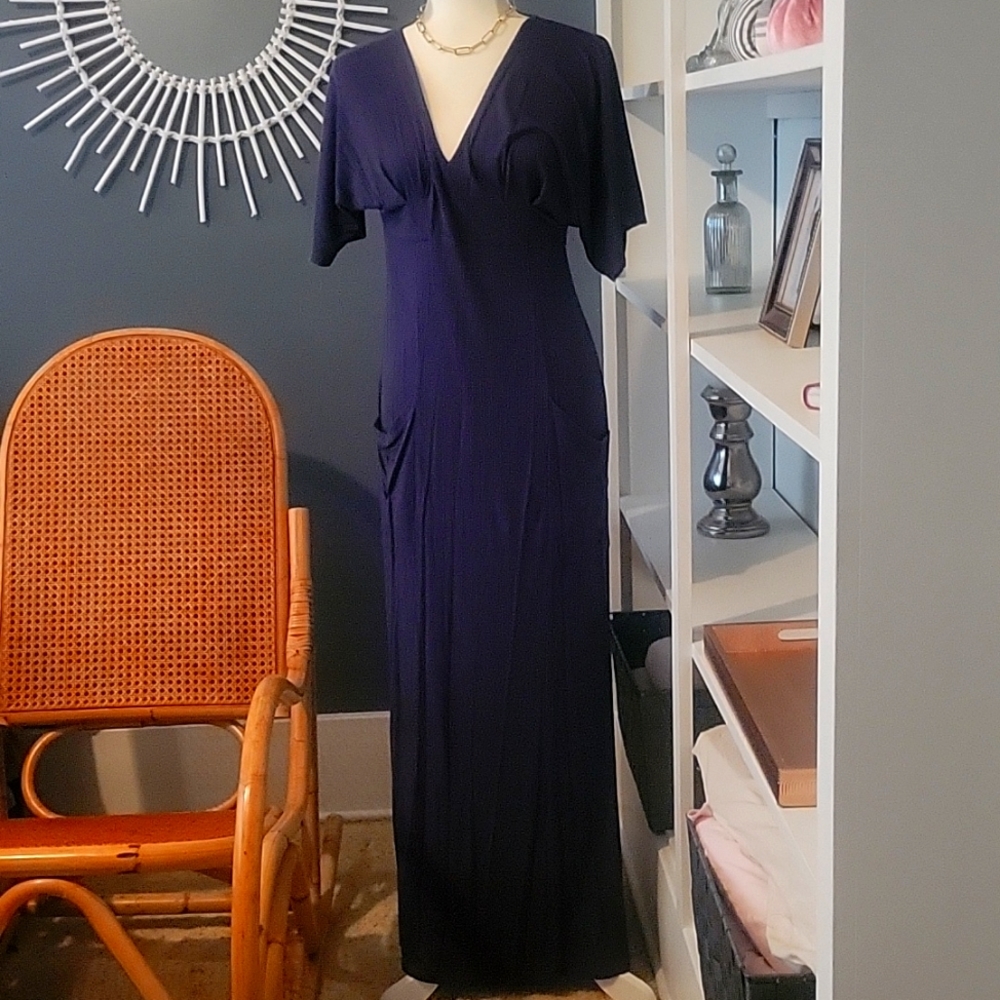 Blue Baltic born dress with pockets
